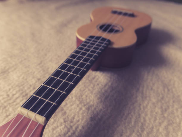 istock Selective focus shots of a ukulele 690529566