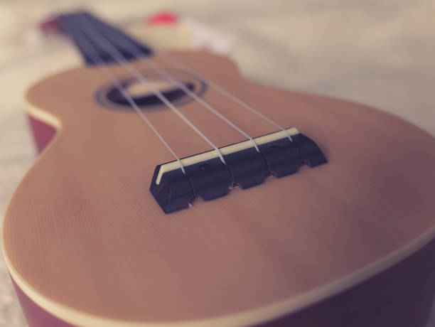 istock Selective focus shots of a ukulele 690531852