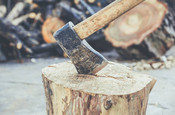istock Old, worn, scratched, sharp ax standing on a wooden, cracked tree stump on a background of chopped wood 690531906