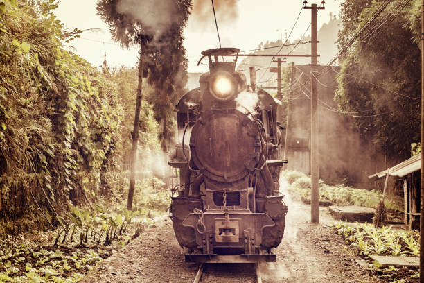 istock Steam narrow-gauge train. 690535896