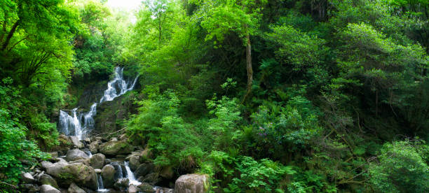 istock Panoramic of Torc Waterfall in County Kerry, Ireland 690536602