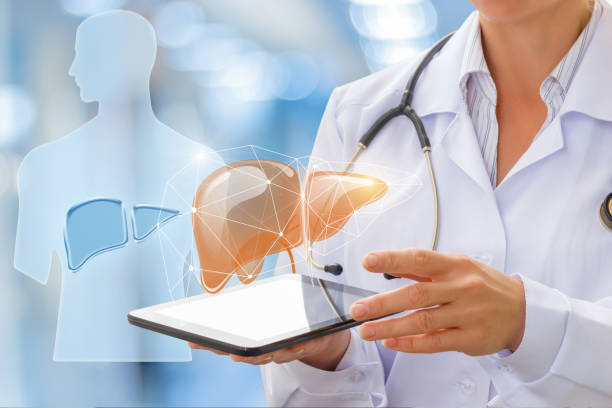 istock Doctor shows the human liver . 690539556