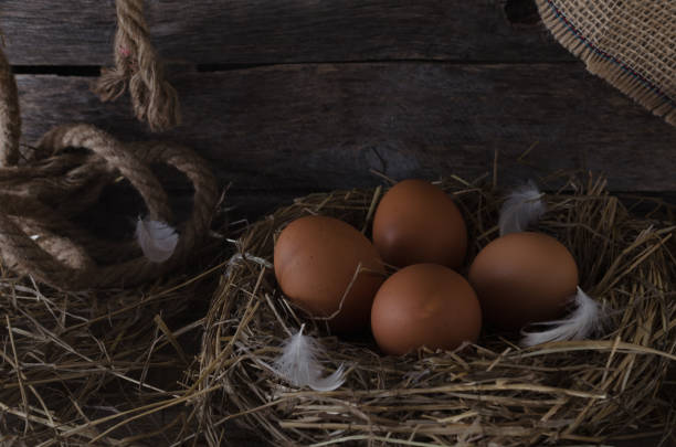 istock Chicken eggs in the chicken coop 690554696