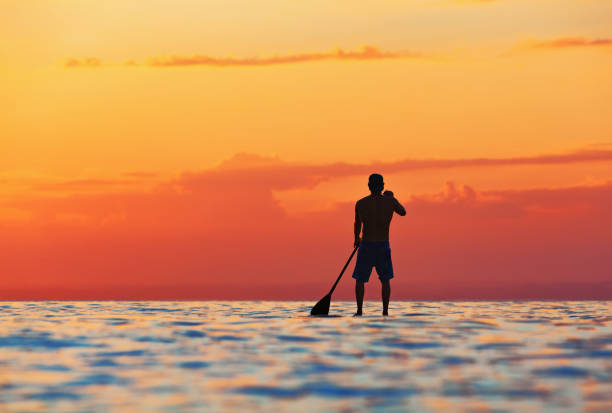 Black sunset silhouette of paddle boarder standing on SUP Paddle boarder. Black sunset silhouette of young sportsman paddling on stand up paddleboard. Healthy lifestyle. Water sport, SUP surfing tour in adventure camp on active family summer beach vacation. raro stock pictures, royalty-free photos & images