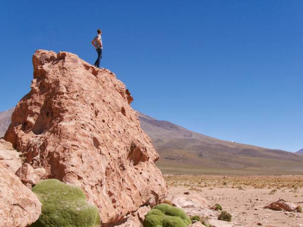 istock Young man on rock formation in atacama desert 690573768