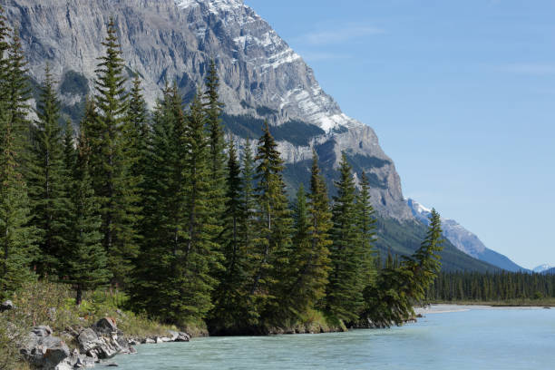 istock Mountain scenery in the Canadian Rockies 690583600