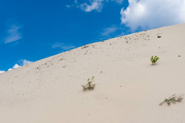 istock Landscape with hill of Dnipro river sand against blue cloudy sky 690583892