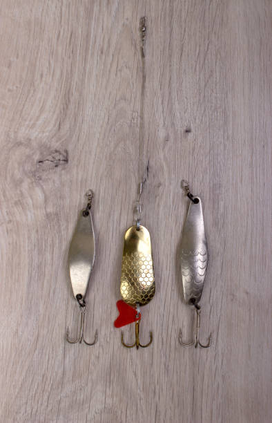 istock spotted wobbler for fishing 690588358