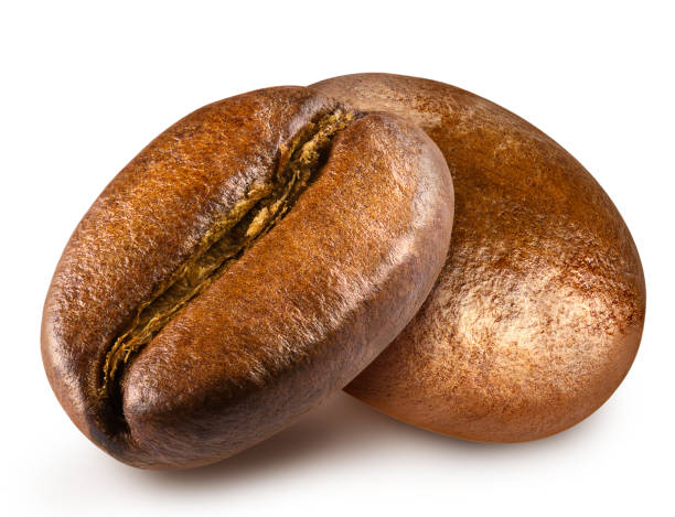 due chicchi di caffè arrosto. - coffee crop bean seed directly above foto e immagini stock