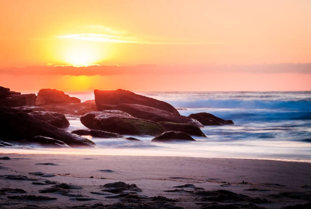 istock Tamarama at sunrise 690593050