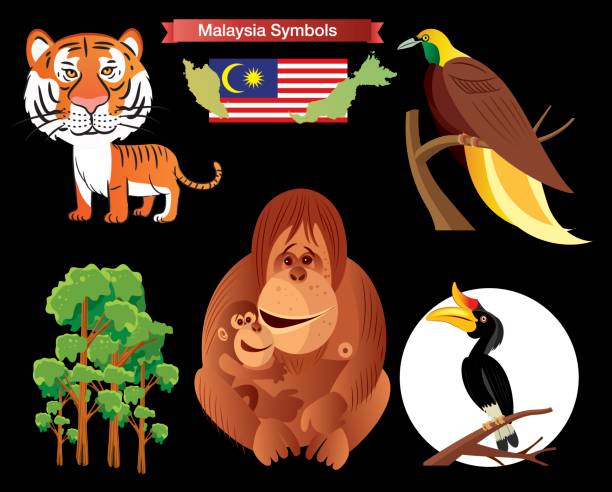 マレーシアのシンボル - グヌンムル国立公園点のイラスト素材／クリップアート素材／マンガ素材／アイコン素材