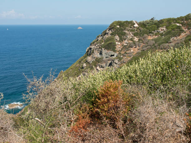 istock the coastline of corsica 690597348