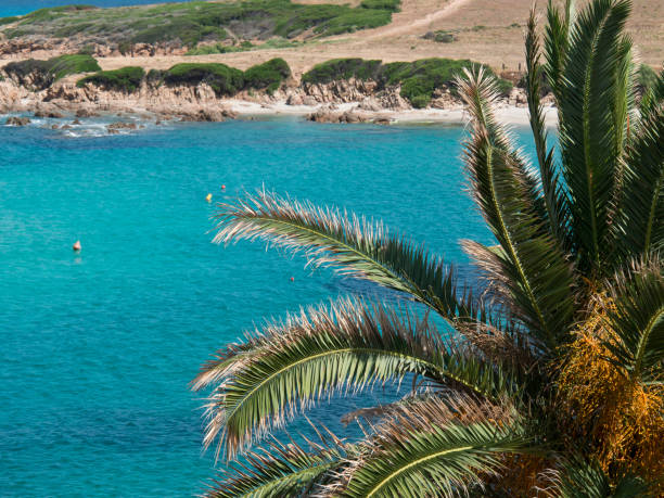 istock the coastline of corsica 690599206