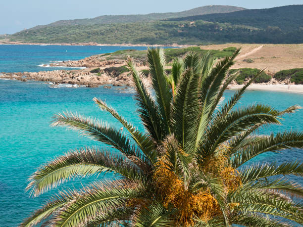 istock the coastline of corsica 690599348