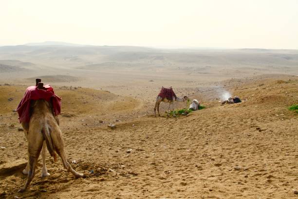 istock Camels and a Bedouin resting 690599548