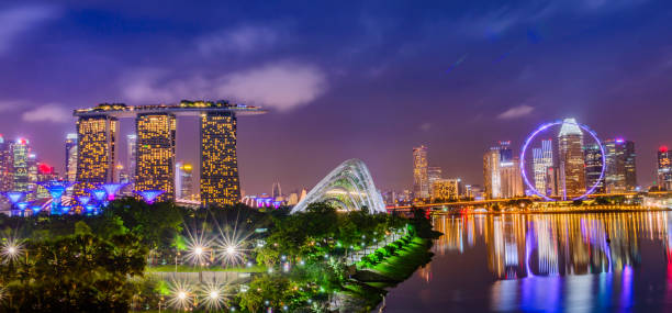 ligne de singapour ville ciel - gardens by the bay photos et images de collection