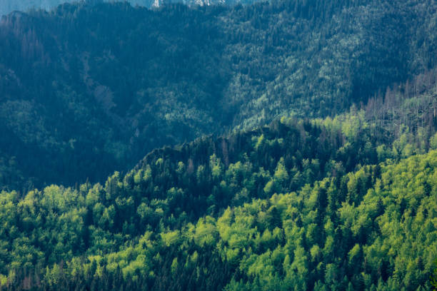 View at Tatra National Park, Poland