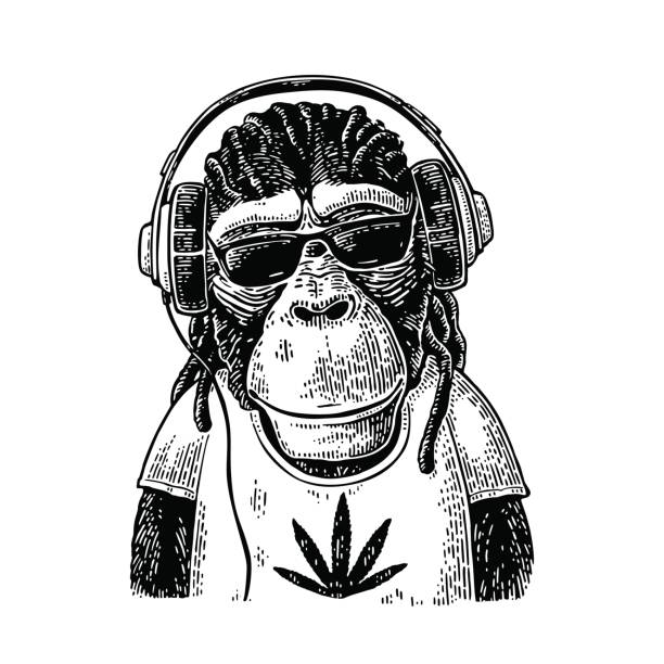 ilustrações, clipart, desenhos animados e ícones de hipster do macaco com dreadlocks nos auscultadores, nos óculos de sol e no t-shirt - top hat audio