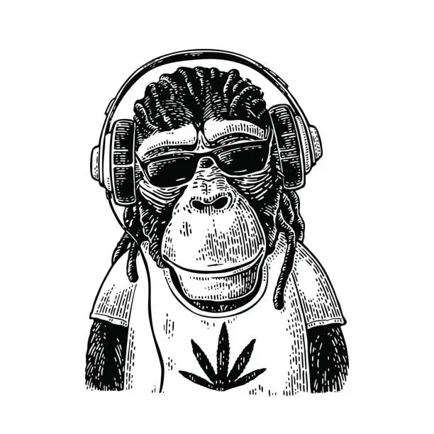 Vector illustration of Monkey hipster with dreadlocks in headphones, sunglasses and t-shirt