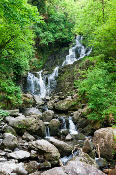 istock Torc Waterfall in County Kerry, Ireland 690606676