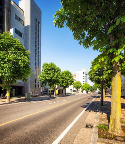 istock Utsunomiya Japan street view with maroon trees vertical 690611030