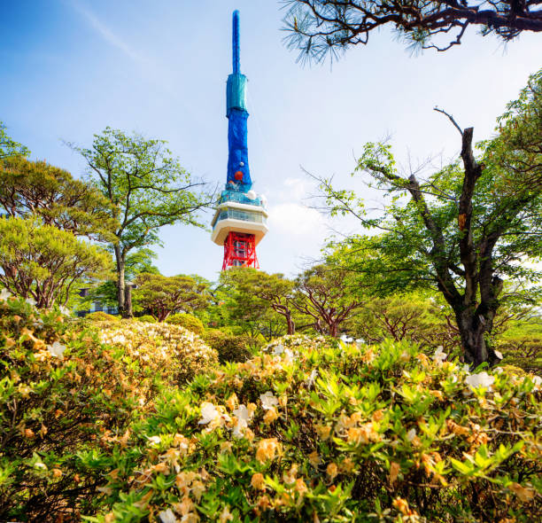 istock Japanese communication tower rising above flowering bushes 690611342
