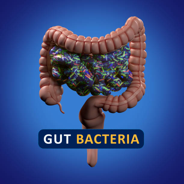 istock Gut bacteria, microbiome. Magnification of bacteria inside the intestines, concept, representation. 3D illustration. 690620086