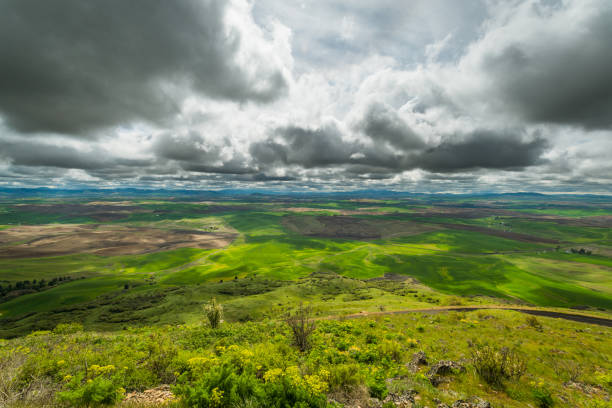 istock Beautiful clouds over green hills. 690620546