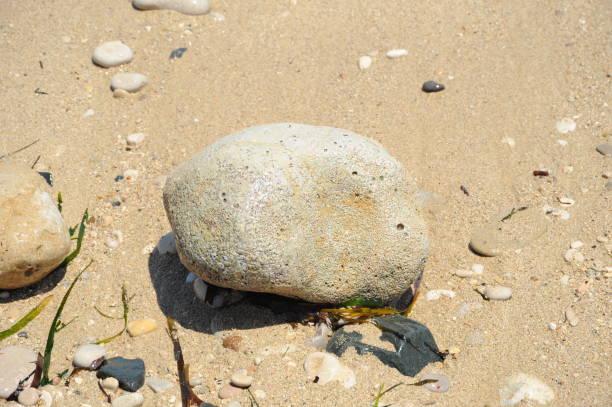 istock Stones on the Mediterranean in Spain 690620682