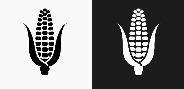 Corn Cob Icon on Black and White Vector Backgrounds. This vector illustration includes two variations of the icon one in black on a light background on the left and another version in white on a dark background positioned on the right. The vector icon is simple yet elegant and can be used in a variety of ways including website or mobile application icon. This royalty free image is 100% vector based and all design elements can be scaled to any size.