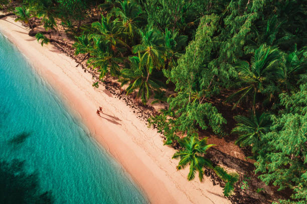 熱帯の島ビーチ、ドミニカ共和国の空撮 - dominican republic ストックフォトと画像