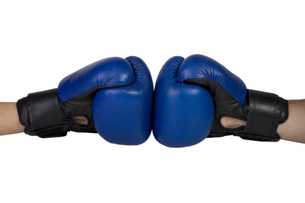 istock Hanging boxing gloves isolated on white background 690653940