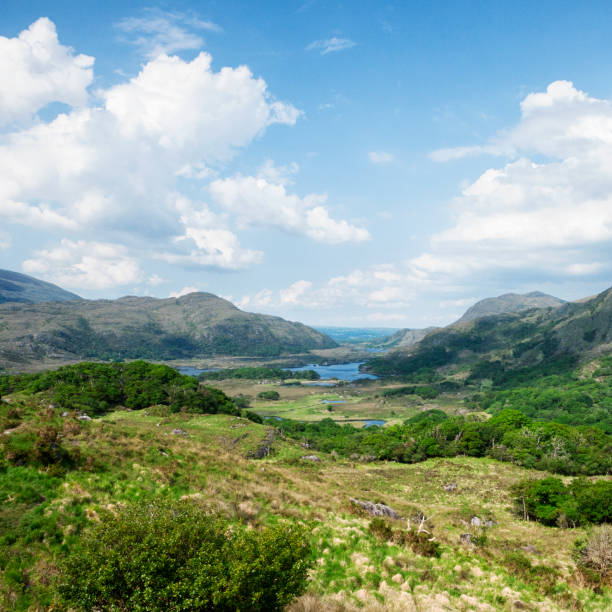 vista de senhoras sobre o anel de kerry, irlanda - upper view - fotografias e filmes do acervo