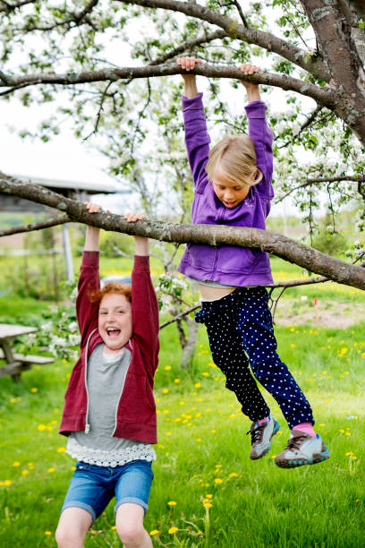 istock Two girls playing in a blossoming apple tree. 690665046
