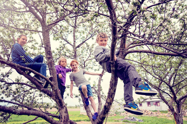istock Group of kids playing in a blossoming apple tree. 690665072
