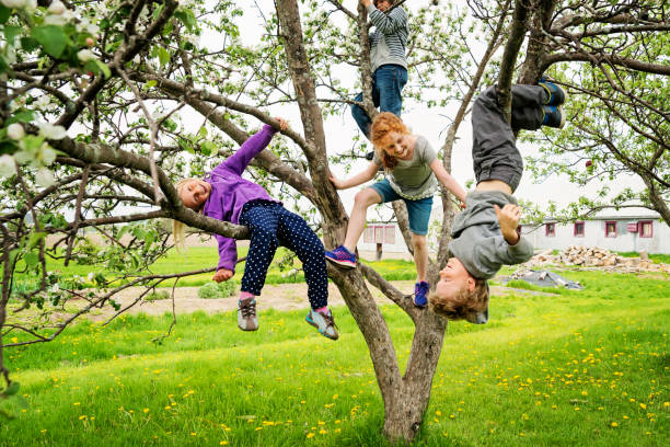 istock Group of kids playing in a blossoming apple tree. 690667126