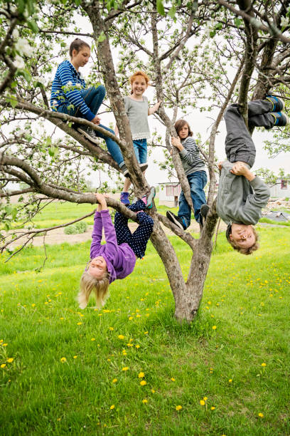 istock Group of kids playing in a blossoming apple tree. 690667176
