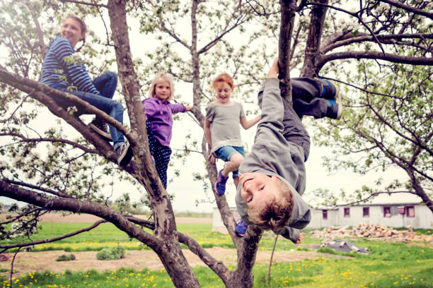 istock Group of kids playing in a blossoming apple tree. 690667216