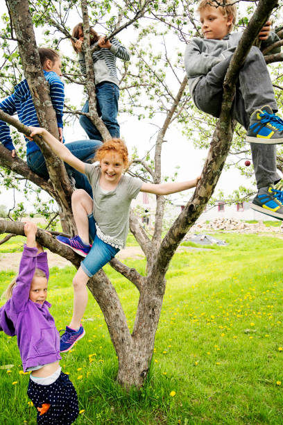 istock Group of kids playing in a blossoming apple tree. 690667252