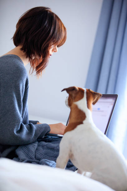 istock young woman holding laptop with dog 690676210