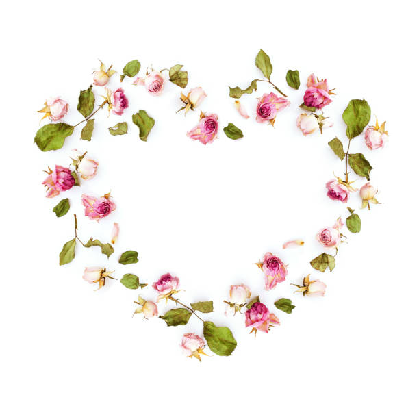 istock Dried pink rose flowers in heart shape 690676224