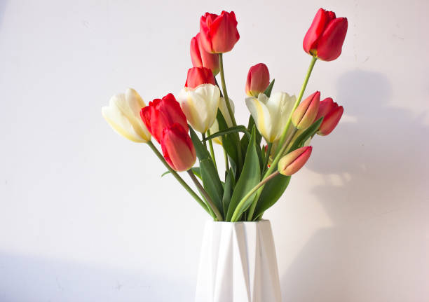 istock vase of spring flowers on a white background 690676290
