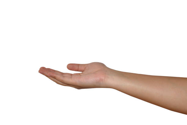 istock Hand  Reach for grabs isolated on white background. 690686908