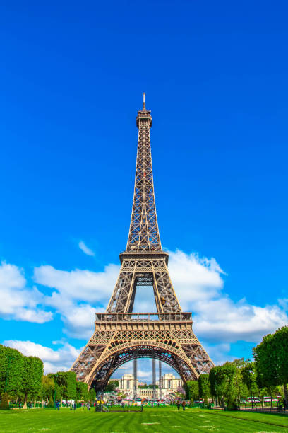 istock Eiffel Tower in a sunny day in Paris 690687130