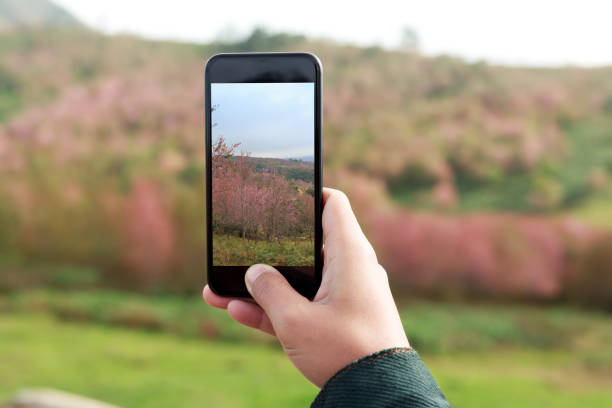 istock close-up hand hold phone taking landscape photo 690724862