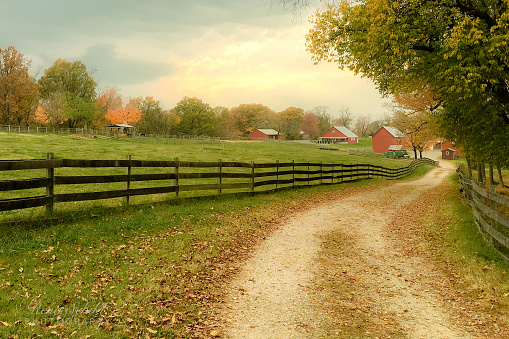 Farm with fall foliage