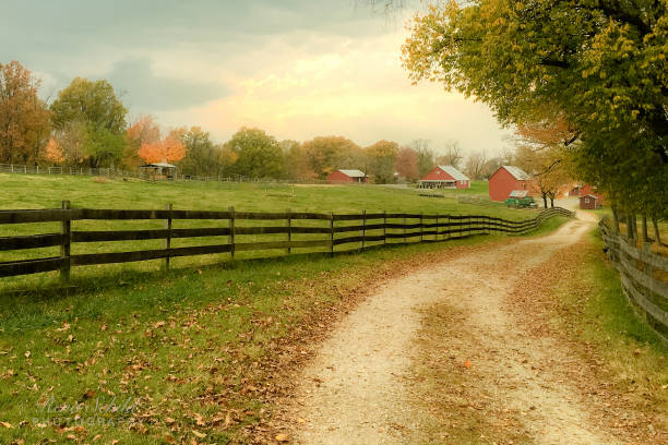 farm in autumn - old dirt road imagens e fotografias de stock