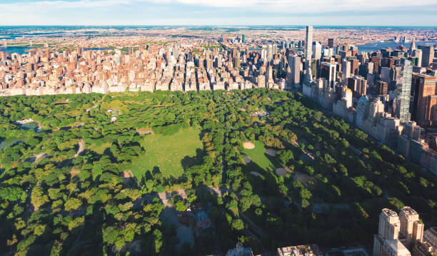 istock Aerial view of Central Park 690730860
