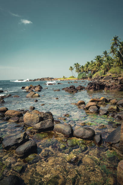 아름 다운 열 대 해변 바위 집입니다. - goa beach india green 뉴스 사진 이미지