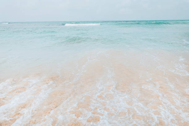 istock Beautiful landscape tropical beach 690736992